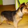 Lola:)
