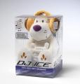 DJ ICE