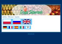 Grupa Skowronki Sp. z o.o.
