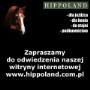 Sklep jeździecki HIPPOLAND