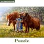 Puzzle - układanki z tektury - Motywy jeździeckie