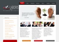 Strona internetowa z Laboris