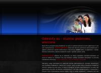 Strona internetowa z Odwierty.eu