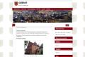 IT - Witryna internetowa z CMS
