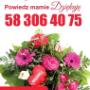 Dodane przez klienta firmy 24.05.2016