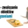 Detratyzacja - Odszczurzanie