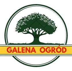 Galena