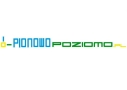 Pionowo Poziomo - Podnośnik Koszowy