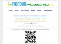Strona internetowa z Pionowo Poziomo - Podnośnik Koszowy