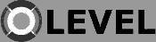 Level Technika Estradowa Leszek Boch