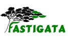 Fastigata Projektowanie Wykonawstwo i Pielęgnacja Ogrodów