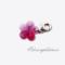 Swarovski charms