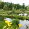 Widok na stawy łowiska FISCHLAND
