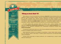 Strona internetowa z Studio V13