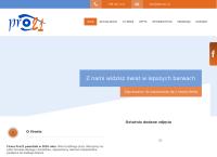 Strona internetowa z Pro21