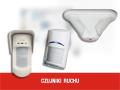Oferta-TOMEL