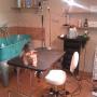 salon MESUA