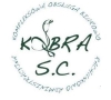 Biuro rachunkowe Kobra