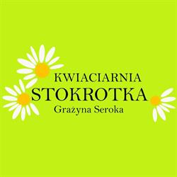 Kwiaciarnia Stokrotka