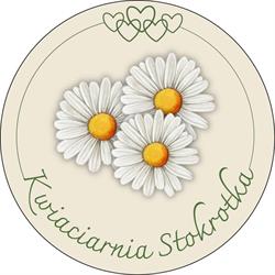 Kwiaciarnia Stokrotka