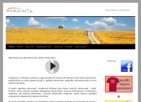 Strona internetowa z Horizonte