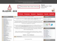 Strona internetowa z Ślężak-Bis Pomoce Dydaktyczne Mirosław Galacki