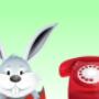 Pakiet RabbitCall