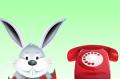 Pakiet RabbitCall - Wirtualne Biuro we Wrocławiu