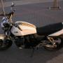 grafika na XJR400