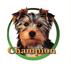 Salon Pielegnacji Psow Champion