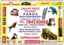 Sklepy Zoologiczne Wałbrzych