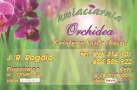 F.h.u.kwiaciarnia "orchidea" Joanna Rogala