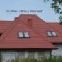 DACH1
