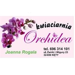 Kwiaciarnia Orchidea