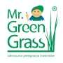Mr. Green Grass