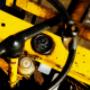 YELLOW URSUS