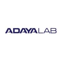 ADAYA Odzyskiwanie danych