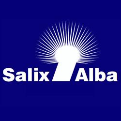 Salix Alba