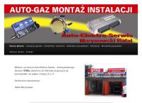 Strona internetowa z Auto-Elektro-Serwis Marynowski Rafał