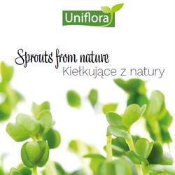 Uniflora Sp. z o.o.