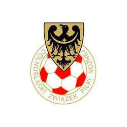 Dolnośląskie Stowarzyszenie Trenerów i Instruktorów Piłki Nożnej