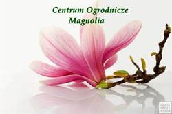 Magnolia s.c. Centrum Ogrodnicze A. i M. Będkowscy
