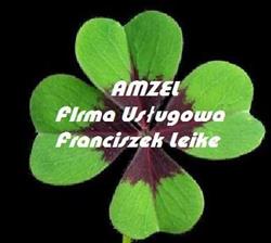 Amzel. Firma usługowa