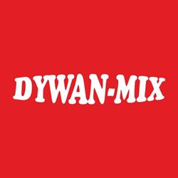 PW Artykuły Wyposażenia Wnętrz Dywan-Mix