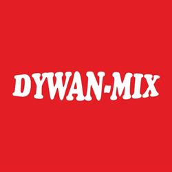 PW Artykuły Wyposażenia Wnętrz Dywan-Mix