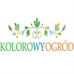 Kolorowy Ogród. Grażyna Kubasik