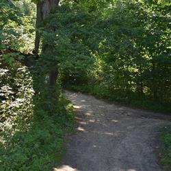 Ośrodek Profilaktyki i Terapii Uzależnień