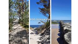 Pod Sumakiem - Pokoje nad morzem