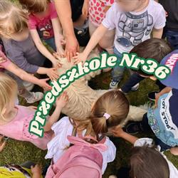 Przedszkole Nr 36