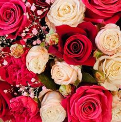 Rosa. Kwiaciarnia